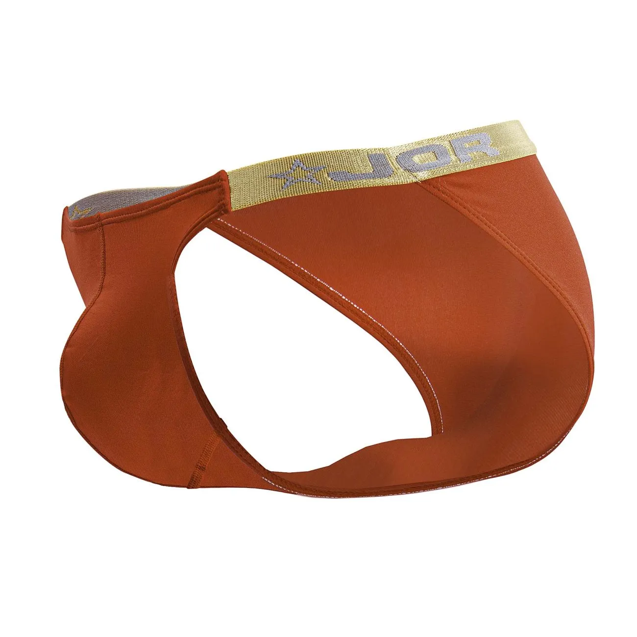 Clothing_Jor_Underwear Ares Bikini