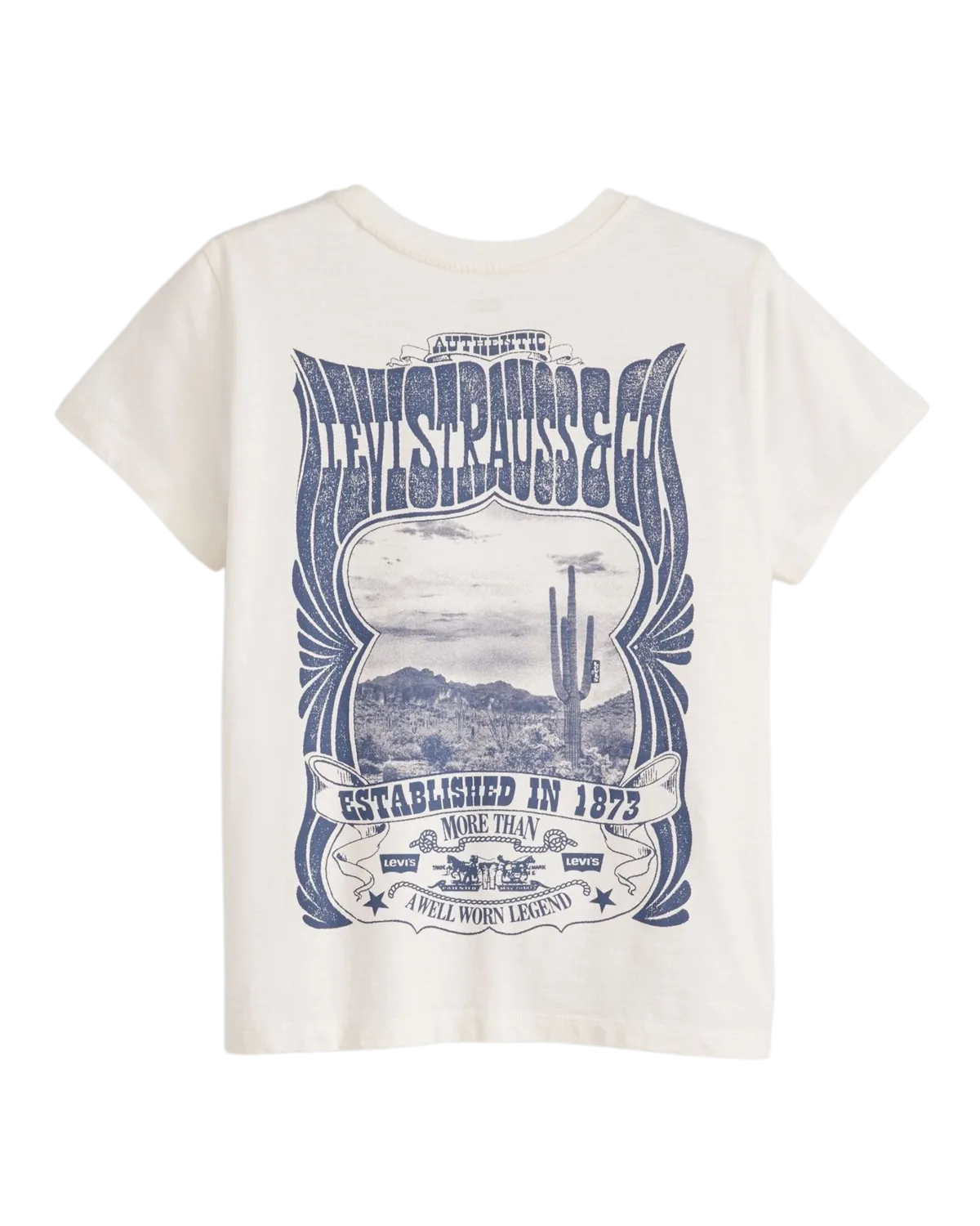 Graphic Boxy T-Shirt in Sugar Swizzle