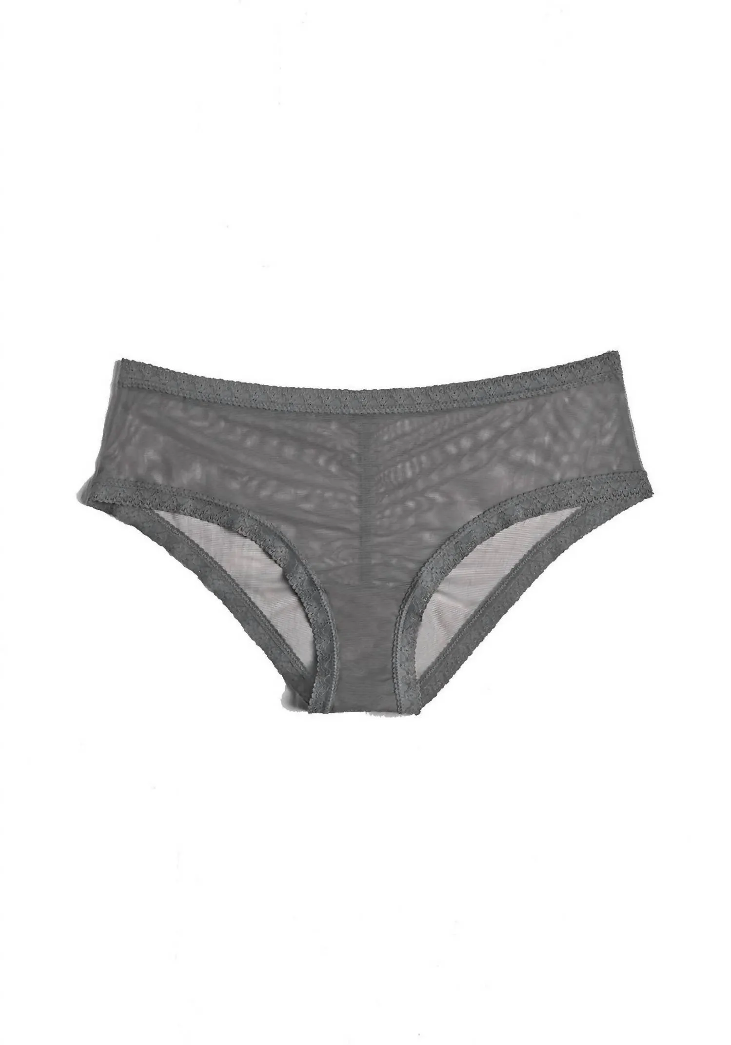Mesh Lace Trim Hipster Panty In Lunar